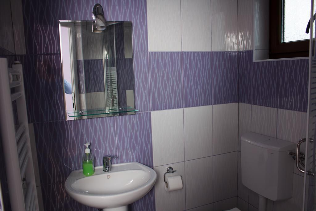 Pensiunea Viki Tău Bistra Rom bilde